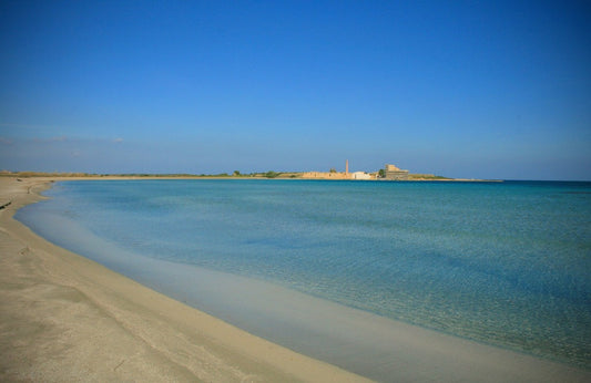 Visitare l'Oasi di Vendicari, scopri il paradiso del sud est della Sicilia