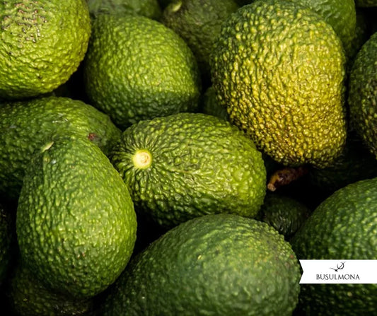 Avocado Busulmona: un alleato per la salute