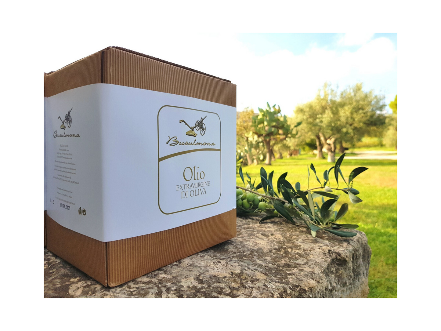 Bag in Box di Olio d'oliva DOP e Bio