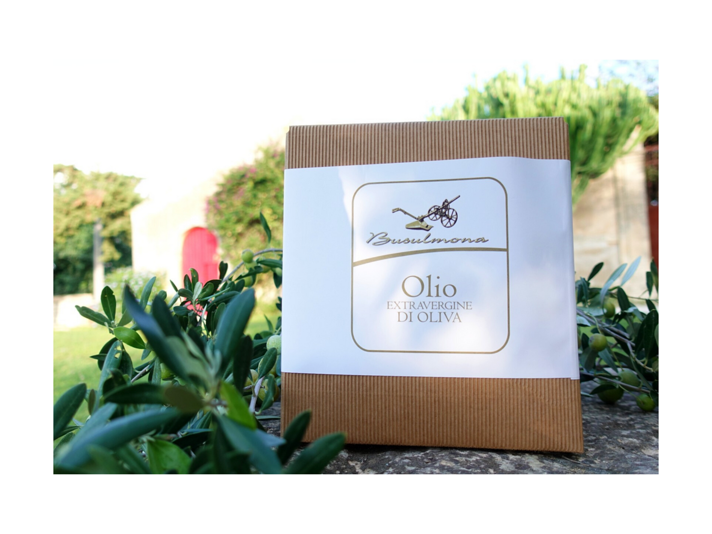 Bag in Box di Olio d'oliva DOP e Bio