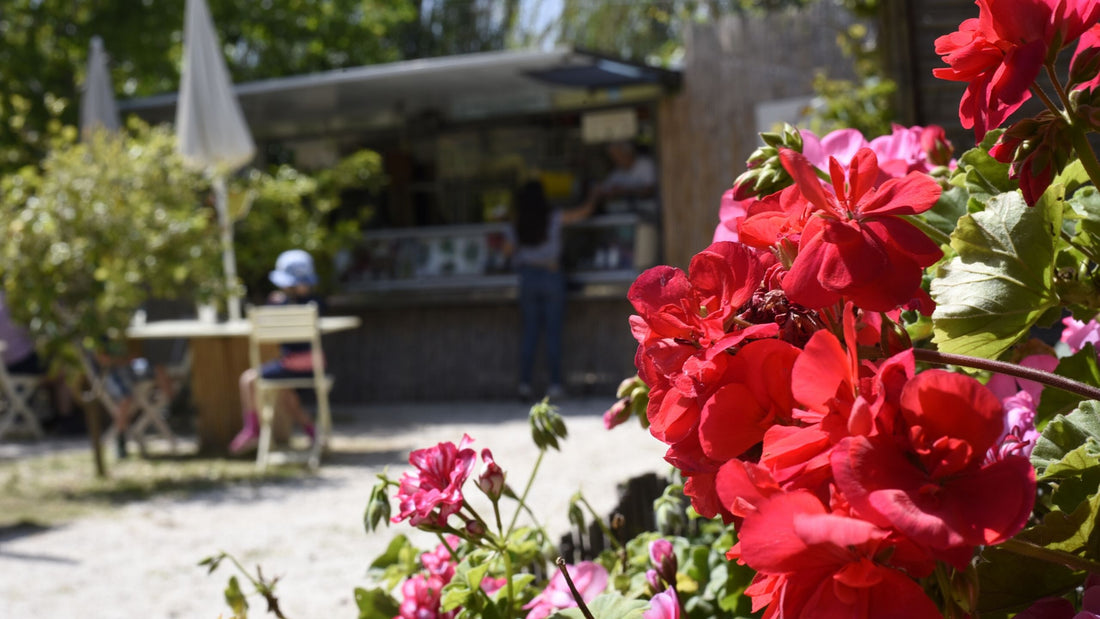 Punto ristoro davanti alla Riserva di Vendicari Dalla Terra Bistrot